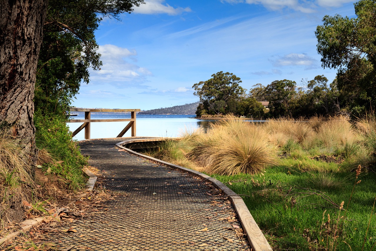 Bruny Island Things to Do 3